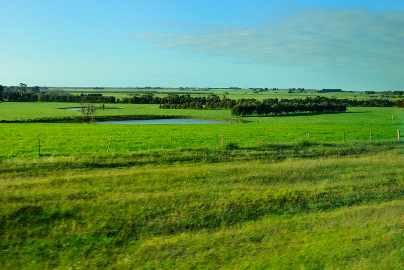 ocean road_2009_OCE_5307